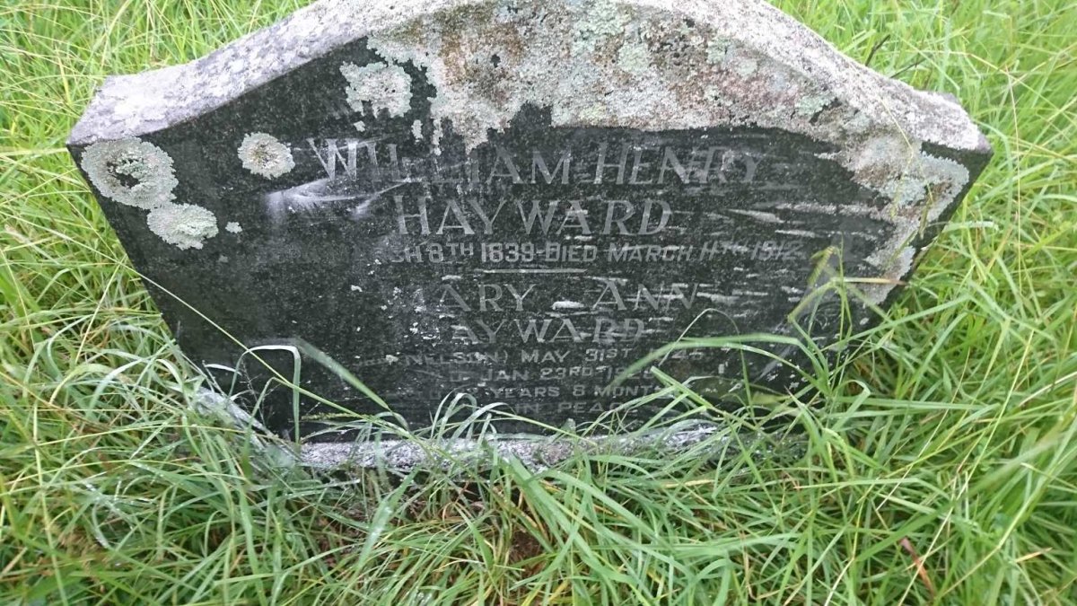 HAYWARD William Henry 1839-1912 &amp; Mary Ann NELSON 1845-1928