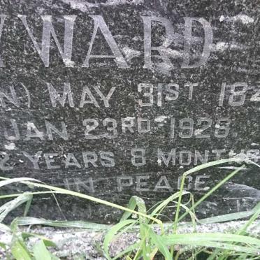 HAYWARD William Henry 1839-1912 &amp; Mary Ann NELSON 1845-1928