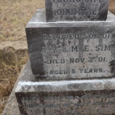 SIM Norman -1916 :: SIM Andrew Young -1901