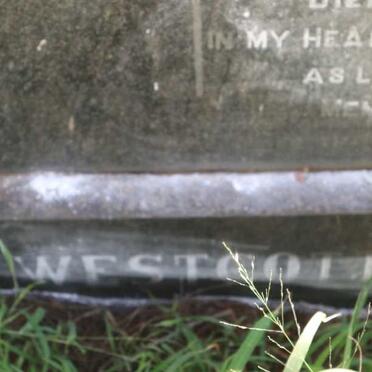 WESTCOTT Ethel Rosetta nee POOLE 1890-1959