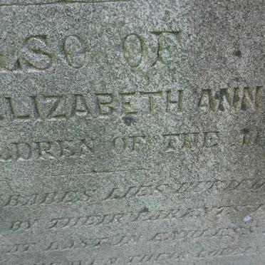NELSON William -1862 :: WOODS William James :: WOODS Elizabeth Ann