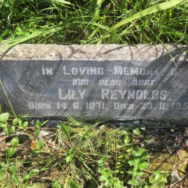 REYNOLDS Lily 1871-1955