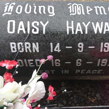 HAYWARD Daisy 1920-1971