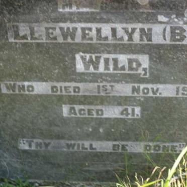 WILD Llewellyn -1939