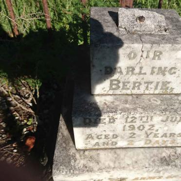 ? Bertie -1902
