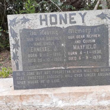 Eastern Cape, PEDDIE district, Mpekweni, Grass Flats 214, Woodlands, farm cemetery
