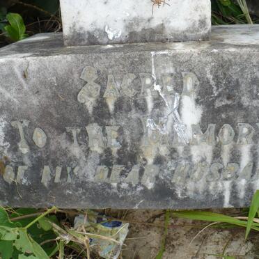 COLLIER Robert 1853-1922