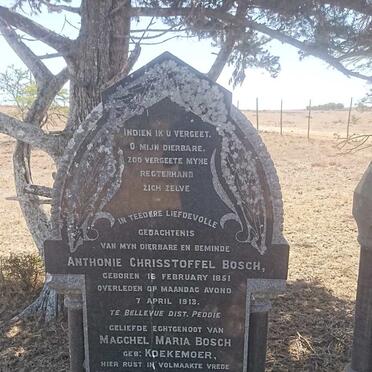 BOSCH Anthonie Chrisstoffel 1851-1913