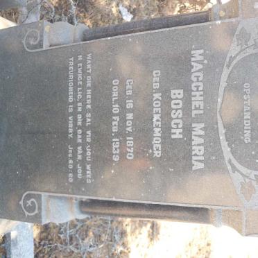 BOSCH Macchel Maria nee KOEKEMOER 1870-1939