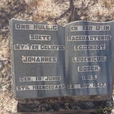 BOSCH Johannes Lodewicus 1883-1947