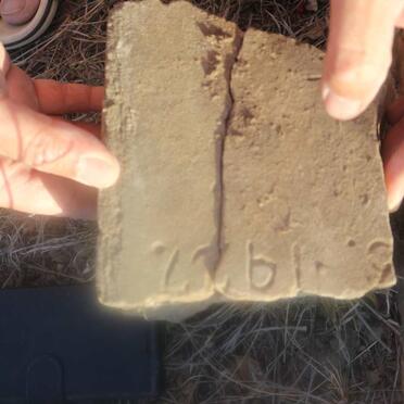 HILDEBRANDT Auguste Friederika nee APPEL 1853-1927