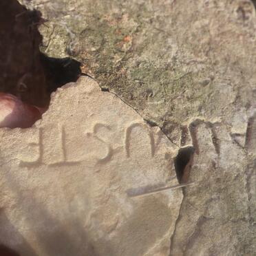 HILDEBRANDT Auguste Friederika nee APPEL 1853-1927