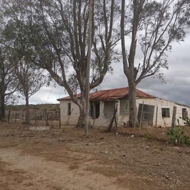 Eastern Cape, PEDDIE district, Old German Settlement outside Peddie, cemetery
