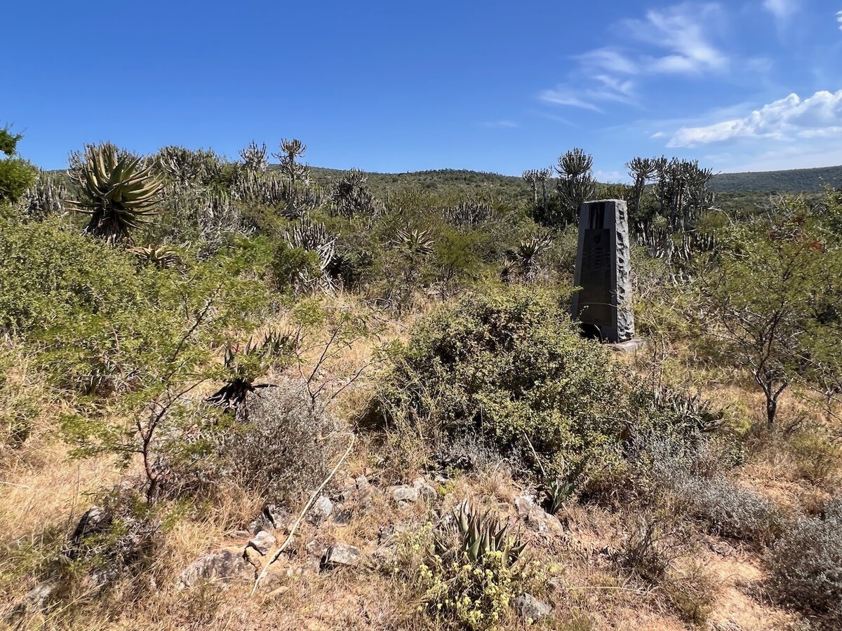 2. Oorsig / Overview