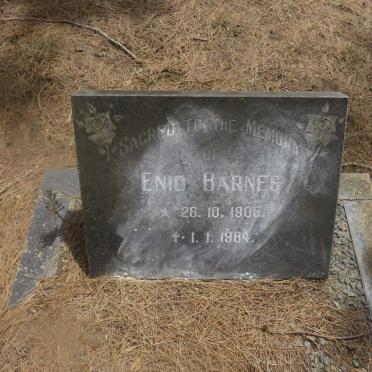 BARNES Enid 1905-1984