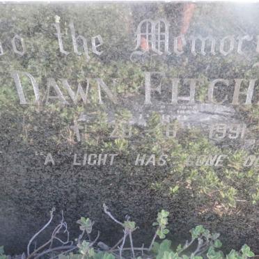 FITCHAT Dawn -1991