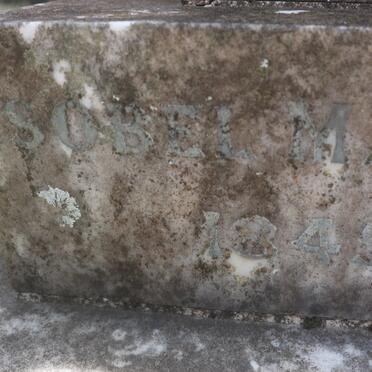 FLEISCHER Isobel Mary 1845-1933