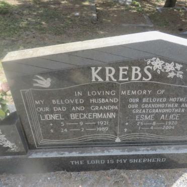 K - Surnames :: Vanne - K