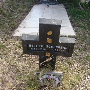 SCHEEPERS Esther 1973-2013