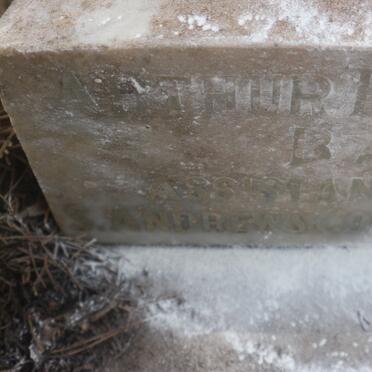 TAYLOR Arthur Briggs -1904