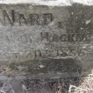 WARD Francis 1856-