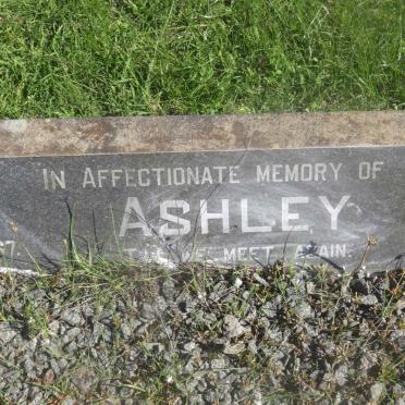 ASHLEY Ernest Henry 1892-1967 &amp; Violet Lilian 1898-197?
