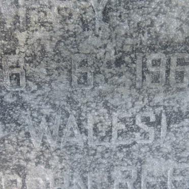 HUGHES J.T. 1886-1969 &amp; Elizabeth REES 1884-197?