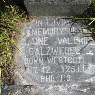 SALZWEDEL Elaine Valerie nee WESTCOTT 1942-1987