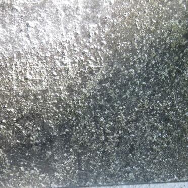 WESTCOTT William Berry 1888-1977 &amp; Myrtle Ruth CUMMINGS 1891-1978