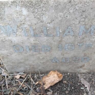 ALEXANDER William -1891