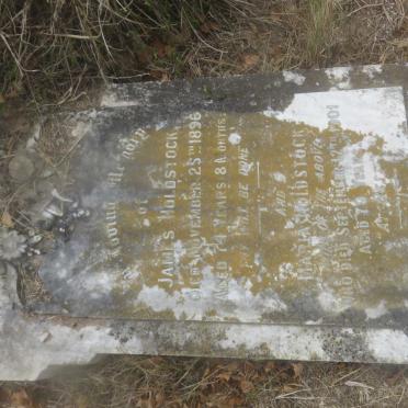 HOLDSTOCK James -1896 &amp; Maria -1901