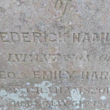 HARDING Frederich Hamilton 1877-1878