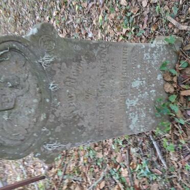 HARDING Frederich Hamilton 1877-1878