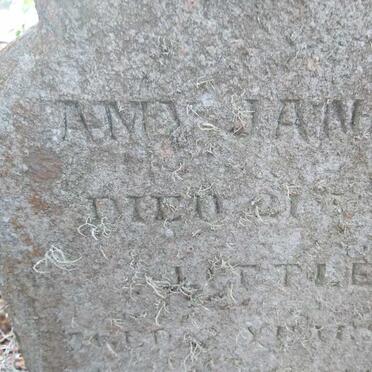 HENMAN Amy Jane -1871