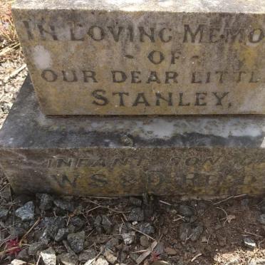 REED Stanley