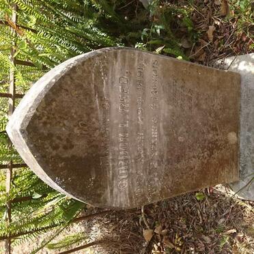 REED Gordon L. -1891