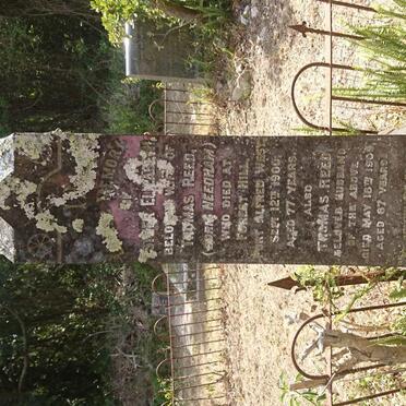 REED Thomas -1909 &amp; Ester Elizabeth NEEDHAM -1900