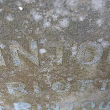 RINTOUL Robert Baldie -1912