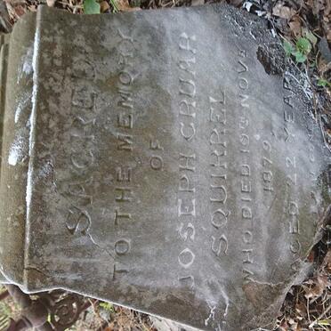 SQUIRREL Joseph Cruar -1879 