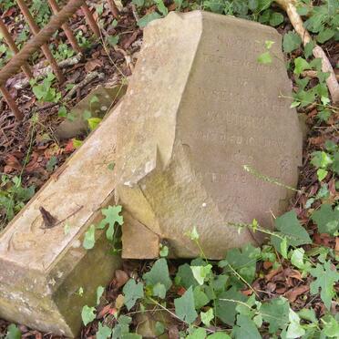 SQUIRREL Joseph Cruar -1879