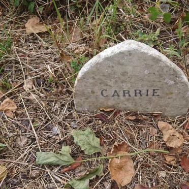 STYLE Carrie
