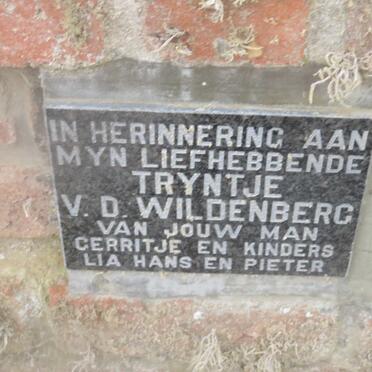WILDENBERG Tryntje, v.d.