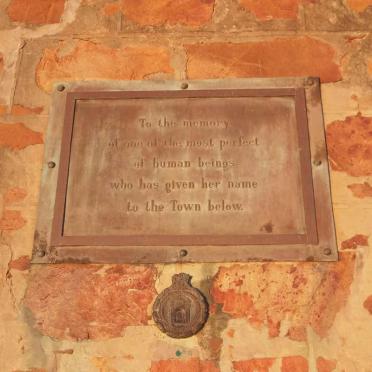 6. Plaque