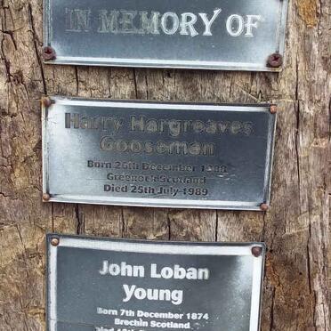 GOOSEMAN Harry Hargreaves 1908-1989 :: YOUNG John Loban 1874-1941 &amp; Mary 1876-1909