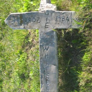 WHITEBOOI 1902-1984