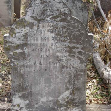 TRENT Henry 1847-1883 :: TRENT Stella :: TRENT Nesta