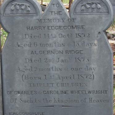 WHEELWRIGHT  Harry Edgecombe 1872-1872 :: WHEELWRIGHT Algernon Ridge 1872-1873