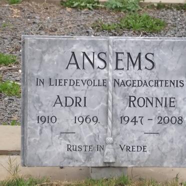 ANSEMS Adri 1910-1969 :: ANSEMS Ronnie 1947-2008