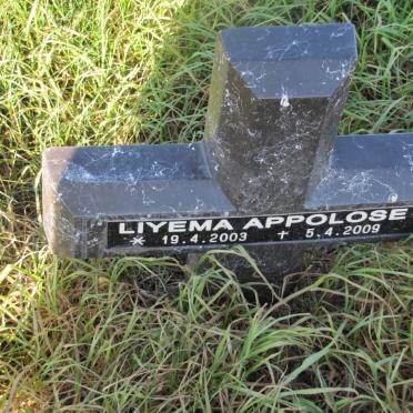 APPOLOSE Liyema 2003-2009