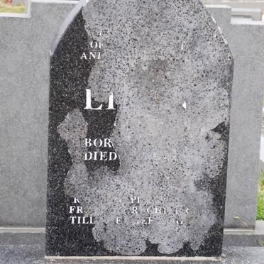 BASKET Tshaliwe Elliot 1963-2010